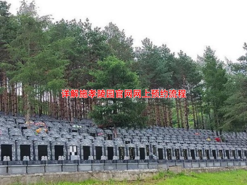 详解施孝陵园官网网上预约流程