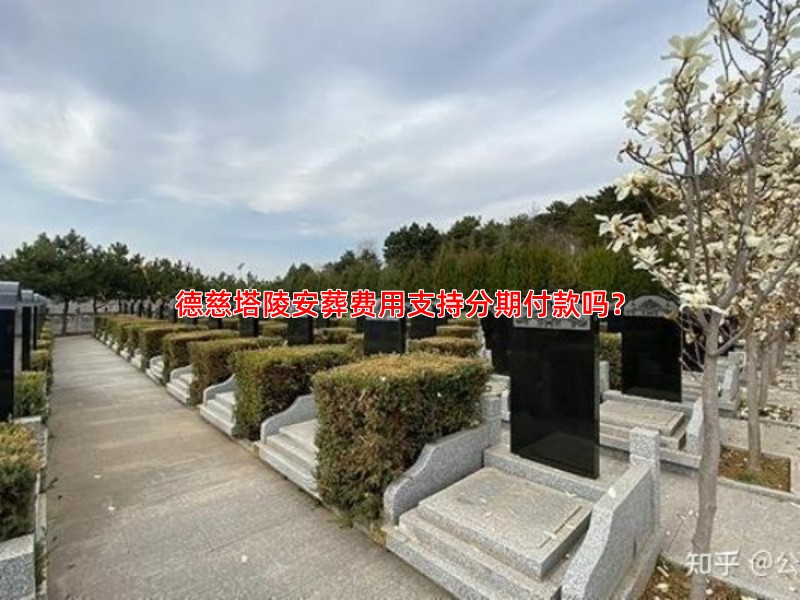 德慈塔陵安葬费用支持分期付款吗？