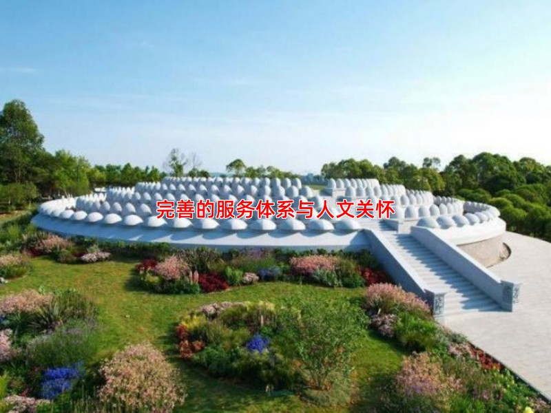 完善的服务体系与人文关怀