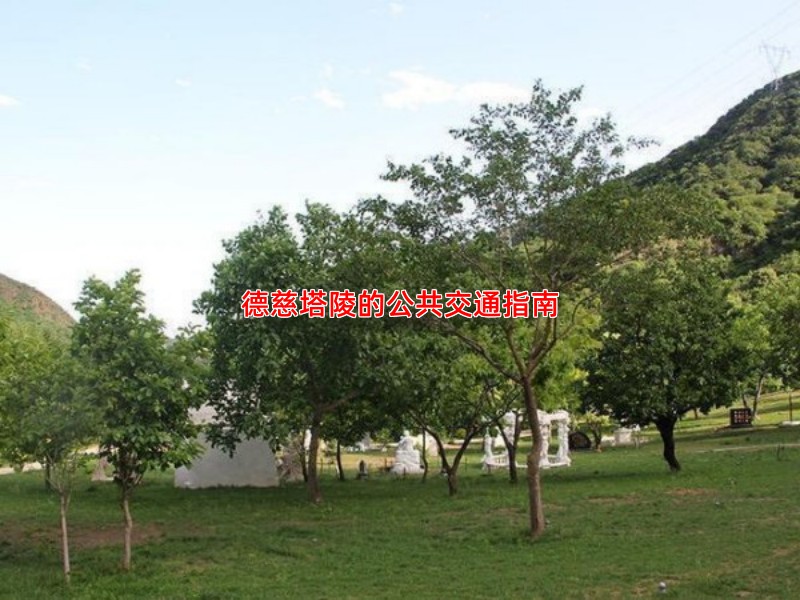 德慈塔陵的公共交通指南