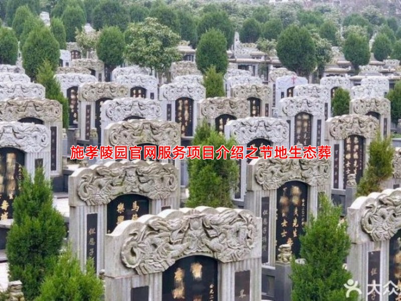 施孝陵园官网服务项目介绍之节地生态葬