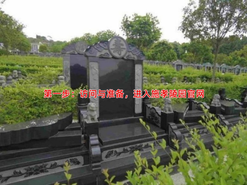 步：访问与准备，进入施孝陵园官网