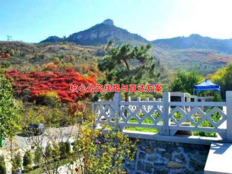 核心公交线路与直达方案