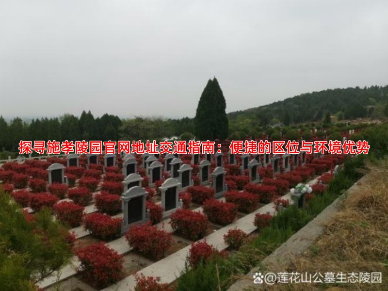 探寻施孝陵园官网地址交通指南：便捷的区位与环境优势