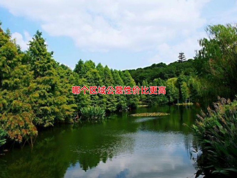 哪个区域公墓性价比更高