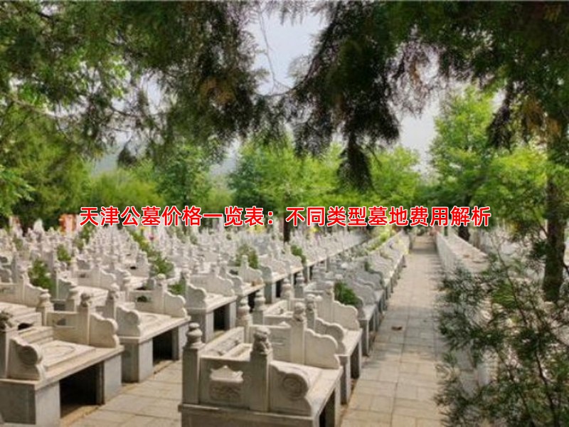 天津公墓价格一览表：不同类型墓地费用解析