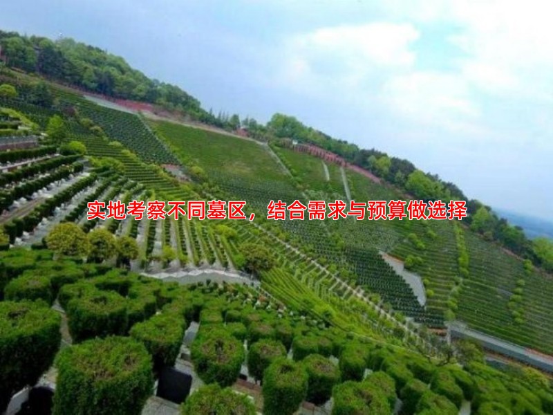 实地考察不同墓区，结合需求与预算做选择