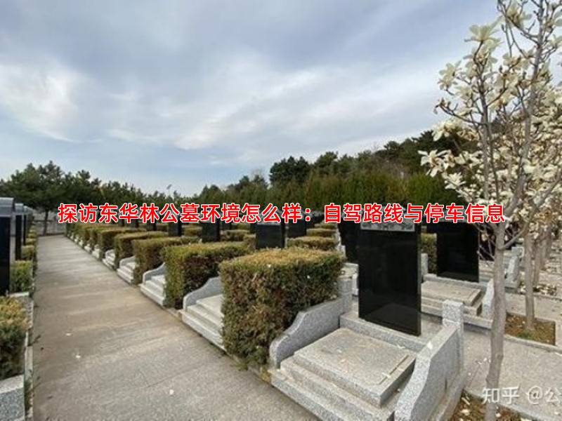 探访东华林公墓环境怎么样：自驾路线与停车信息