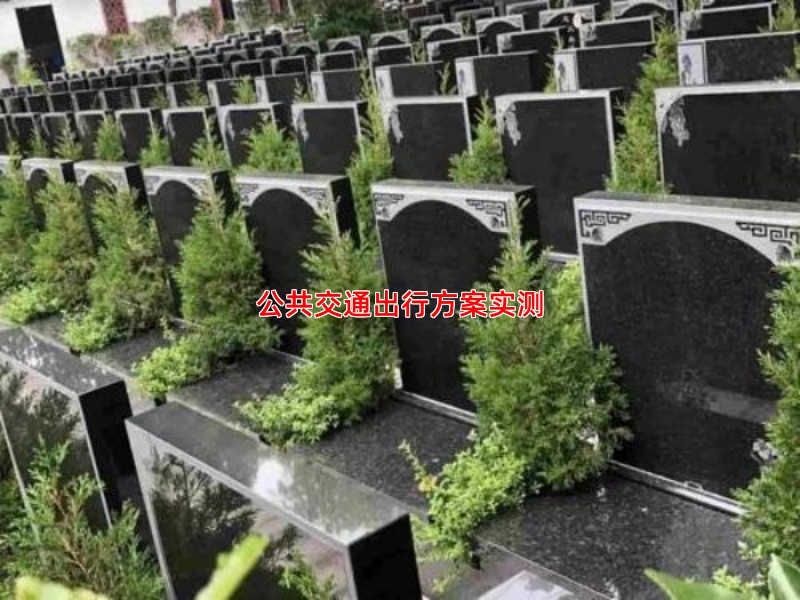 公共交通出行方案实测