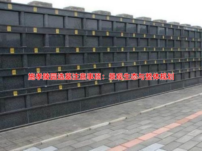 施孝陵园选墓注意事项：景观生态与整体规划