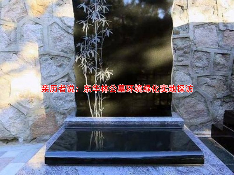 亲历者说：东华林公墓环境绿化实地探访