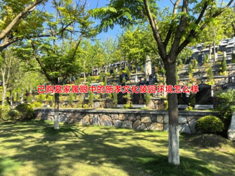 已购墓家属眼中的施孝文化陵园环境怎么样