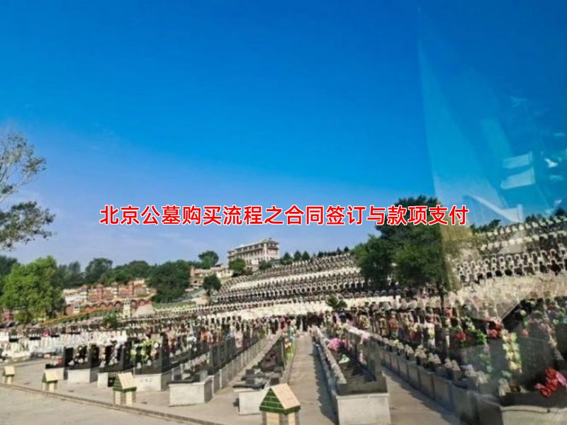 北京公墓购买流程之合同签订与款项支付
