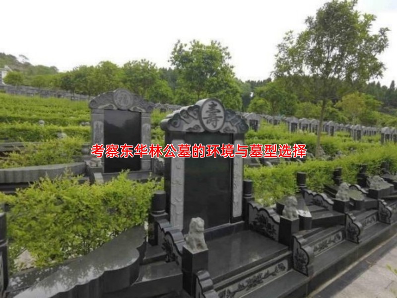 考察东华林公墓的环境与墓型选择