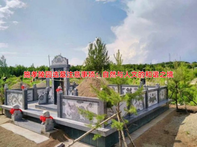 施孝陵园选墓注意事项：自然与人文的和谐之境