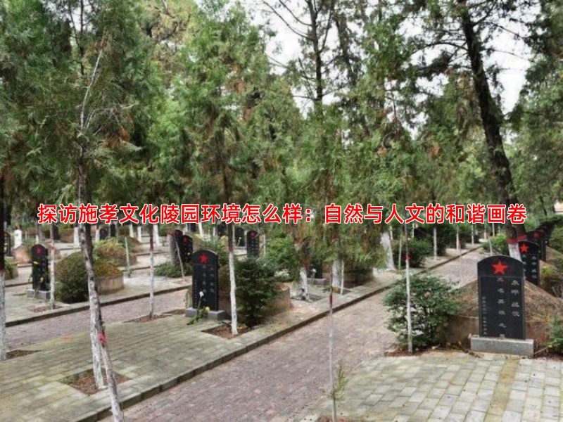 探访施孝文化陵园环境怎么样：自然与人文的和谐画卷