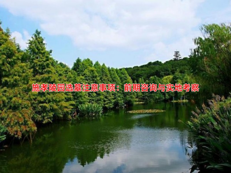 施孝陵园选墓注意事项：前期咨询与实地考察