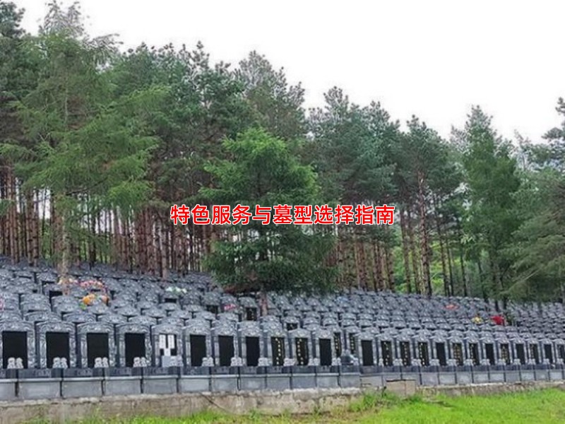 特色服务与墓型选择指南