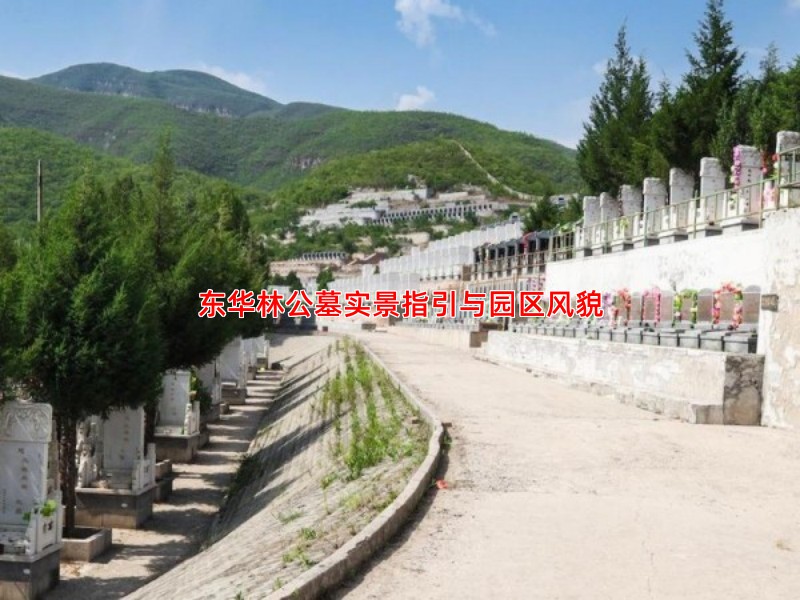 东华林公墓实景指引与园区风貌
