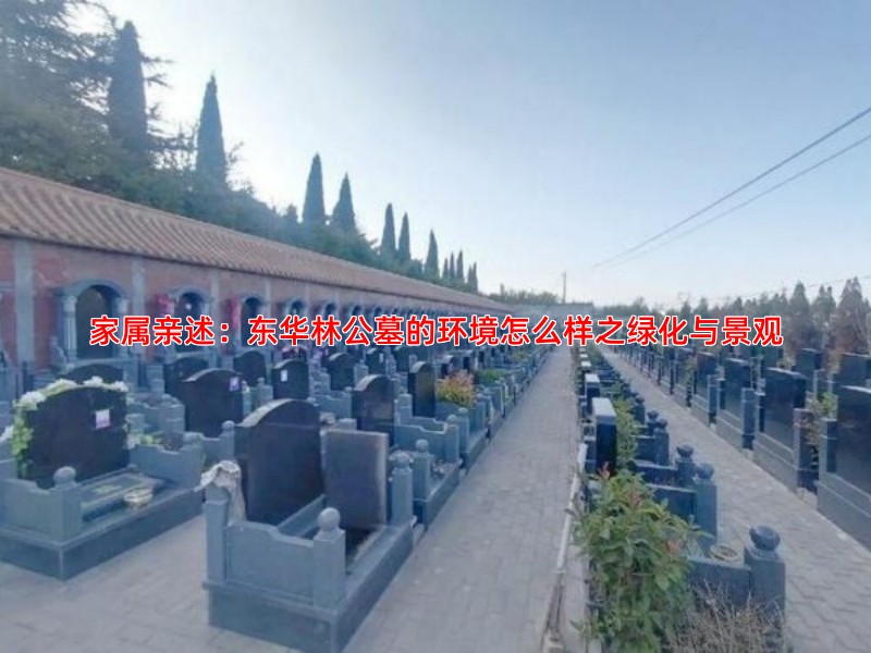 家属亲述：东华林公墓的环境怎么样之绿化与景观