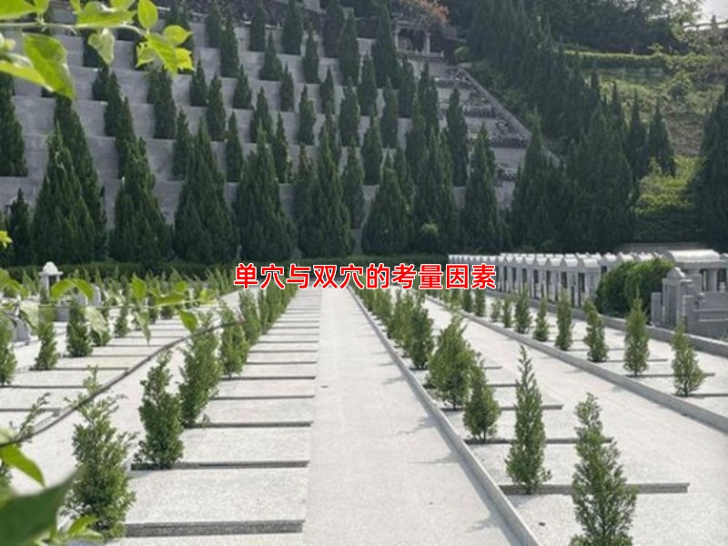 单穴与双穴的考量因素