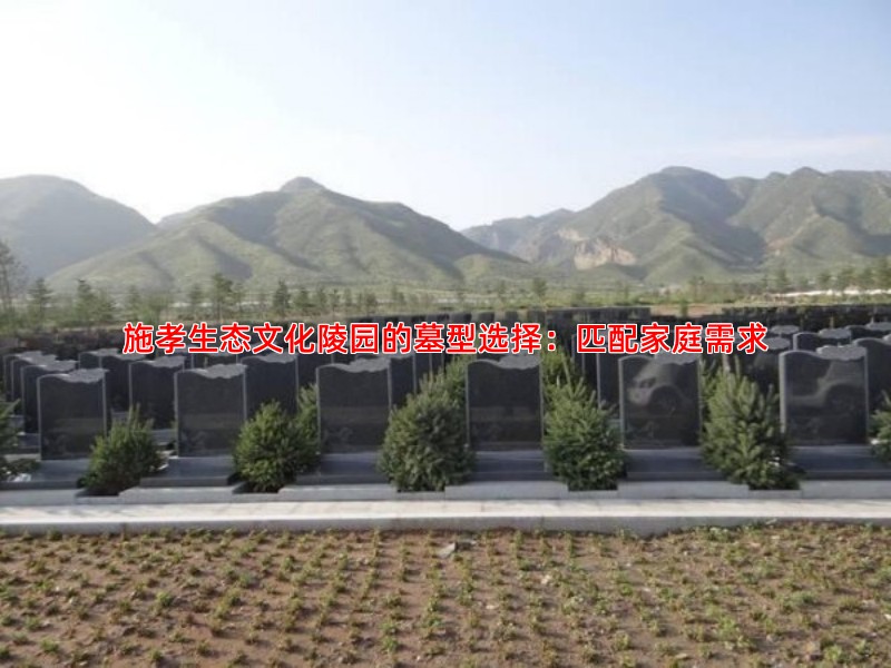 施孝生态文化陵园的墓型选择：匹配家庭需求
