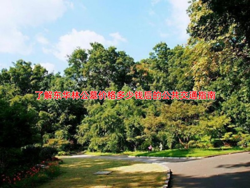 了解东华林公墓价格多少钱后的公共交通指南