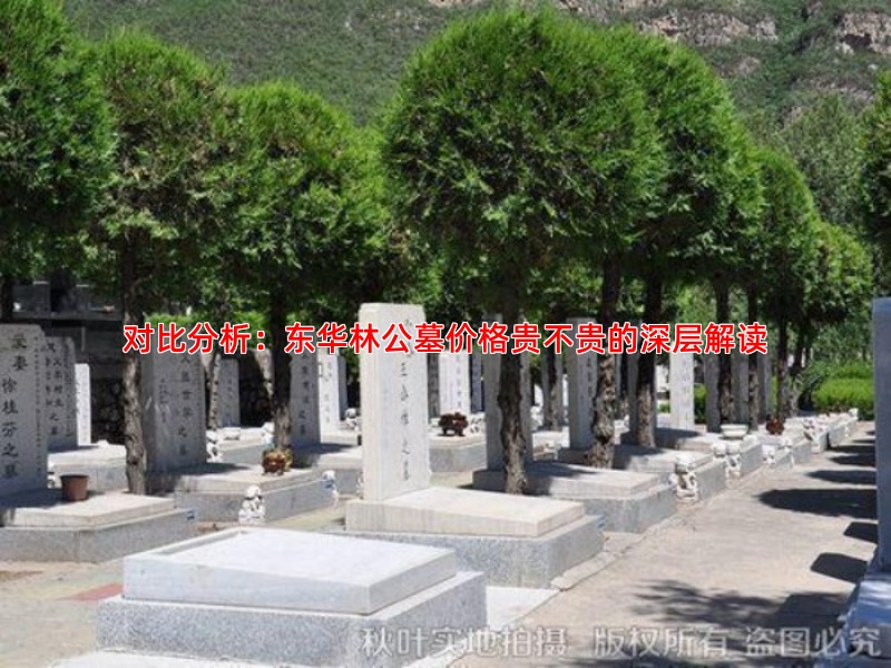 对比分析：东华林公墓价格贵不贵的深层解读