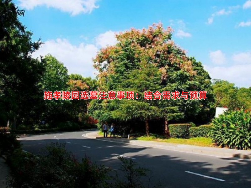 施孝陵园选墓注意事项：结合需求与预算