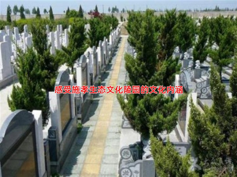 感受施孝生态文化陵园的文化内涵