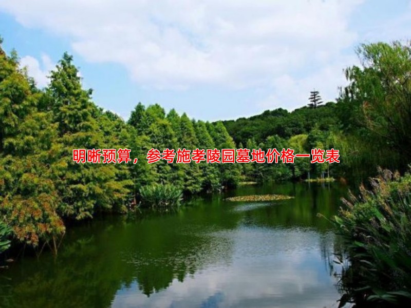 明晰预算，参考施孝陵园墓地价格一览表