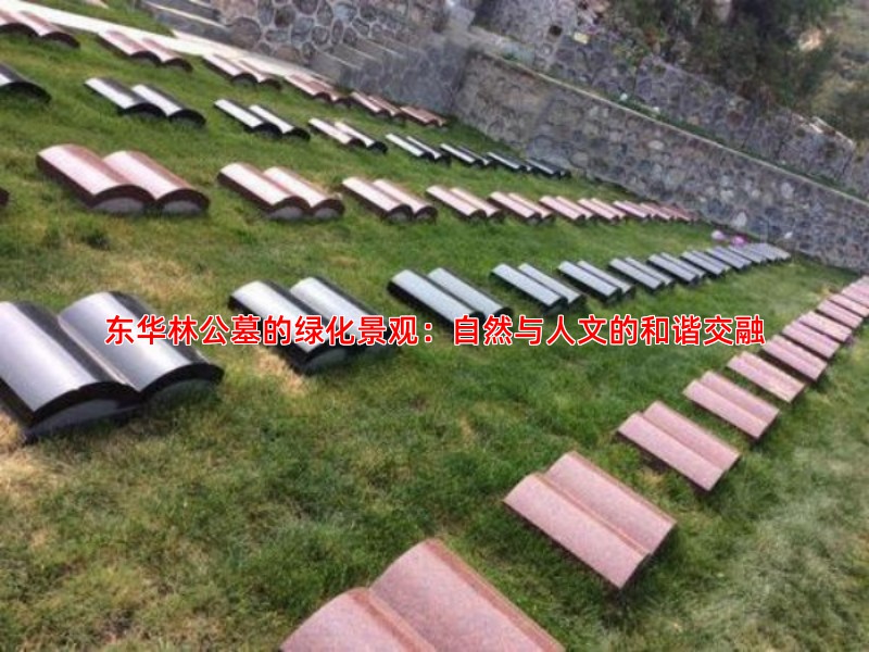 东华林公墓的绿化景观：自然与人文的和谐交融