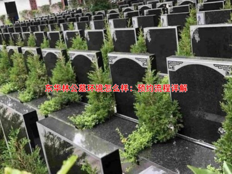 东华林公墓环境怎么样：预约流程详解