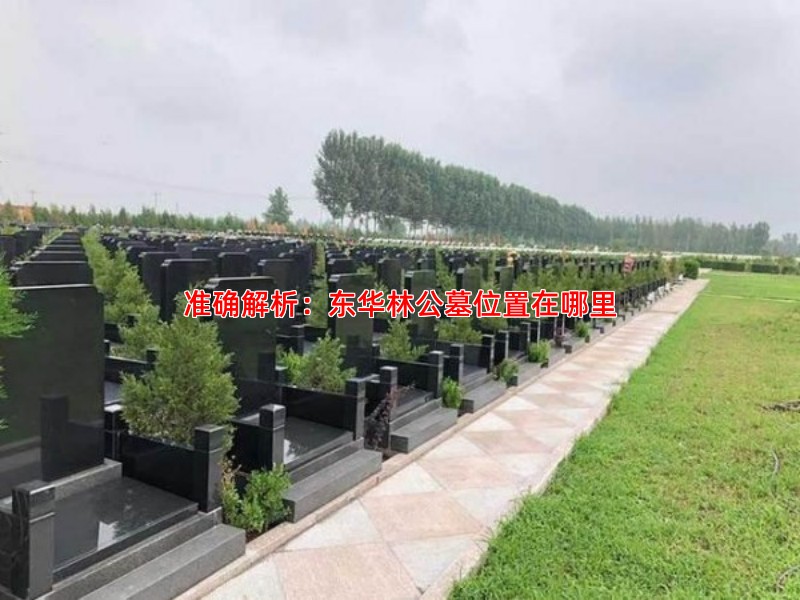 准确解析：东华林公墓位置在哪里