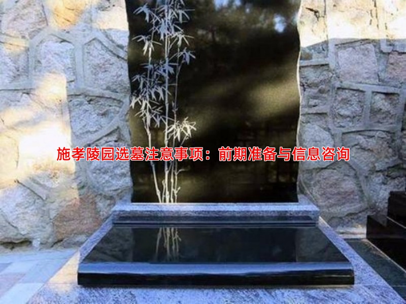 施孝陵园选墓注意事项：前期准备与信息咨询