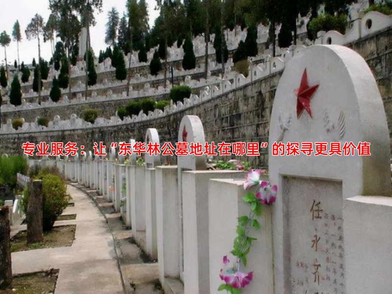 专业服务：让“东华林公墓地址在哪里”的探寻更具价值