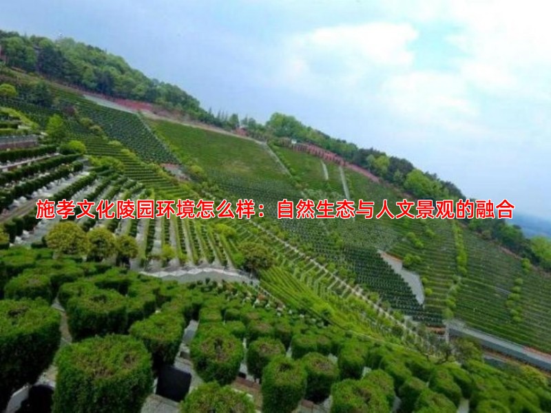 施孝文化陵园环境怎么样：自然生态与人文景观的融合