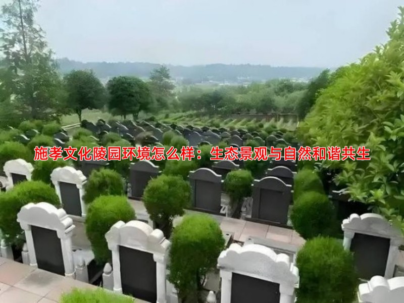 施孝文化陵园环境怎么样：生态景观与自然和谐共生