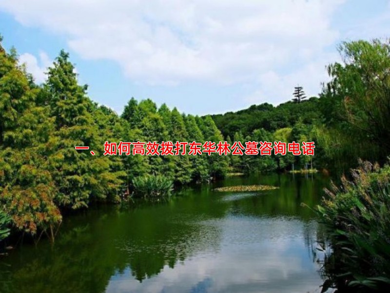 一、如何高效拨打东华林公墓咨询电话