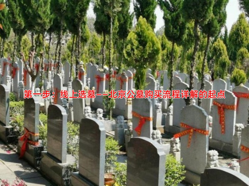 步：线上选墓——北京公墓购买流程详解的起点