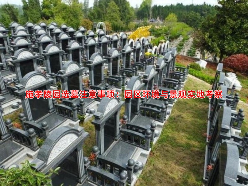 施孝陵园选墓注意事项：园区环境与景观实地考察