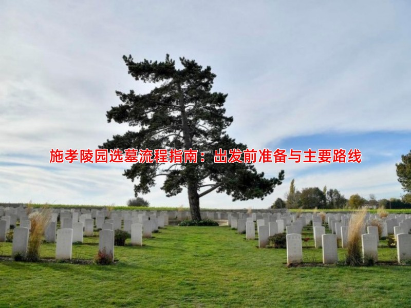 施孝陵园选墓流程指南：出发前准备与主要路线