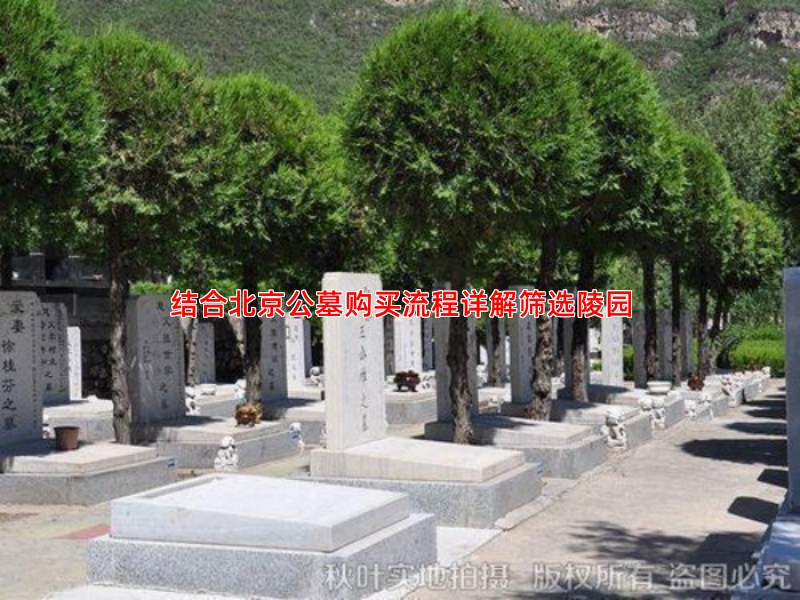结合北京公墓购买流程详解筛选陵园