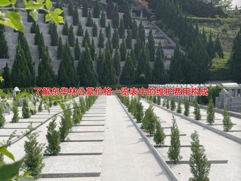 了解东华林公墓价格一览表中的维护费用构成