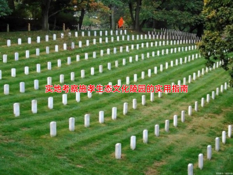 实地考察施孝生态文化陵园的实用指南