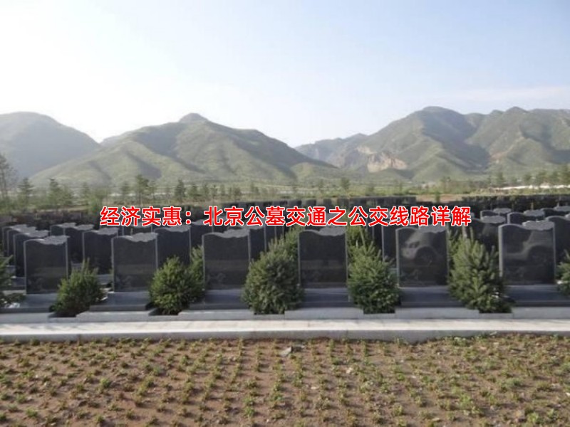经济实惠：北京公墓交通之公交线路详解