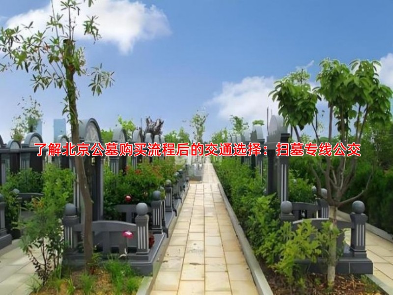 了解北京公墓购买流程后的交通选择：扫墓专线公交