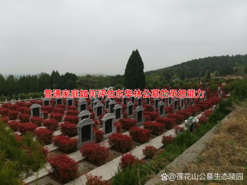 普通家庭如何评估东华林公墓的承担能力