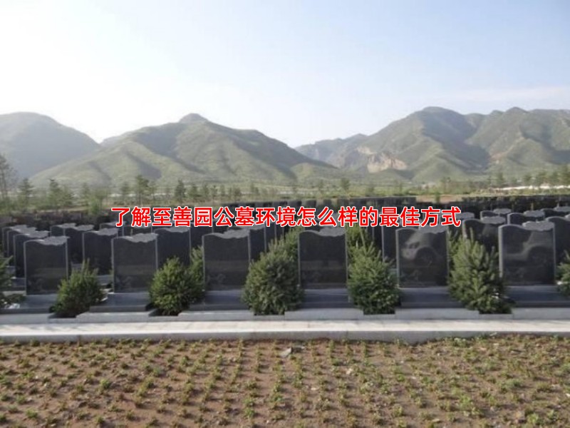 了解至善园公墓环境怎么样的佳方式