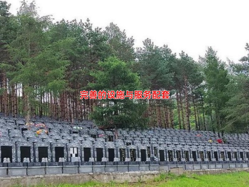 完善的设施与服务配套